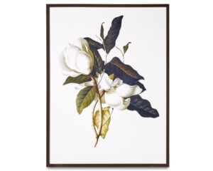 MAGNOLIA