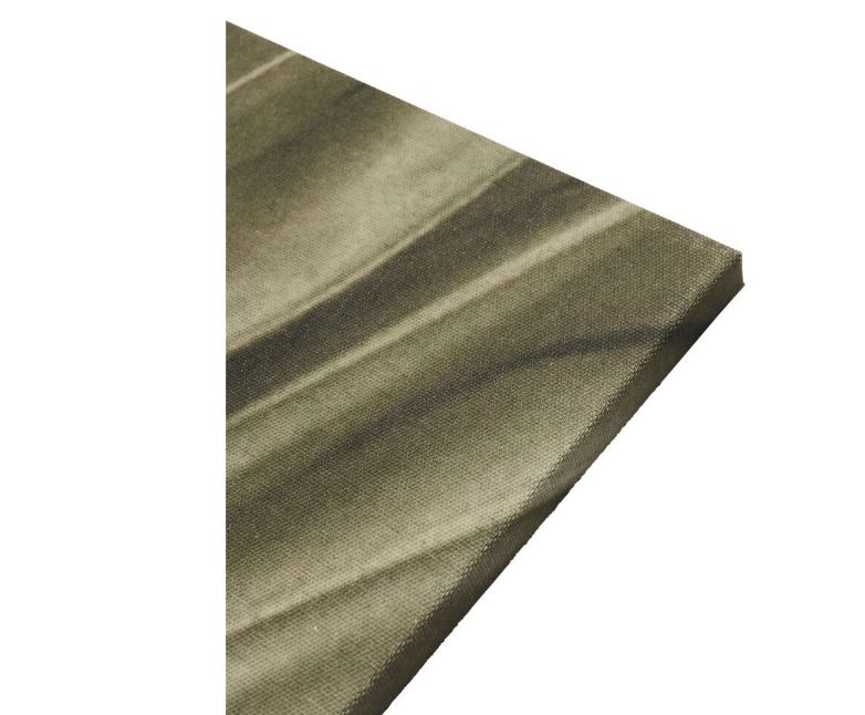 PALM LEAF - Image 2